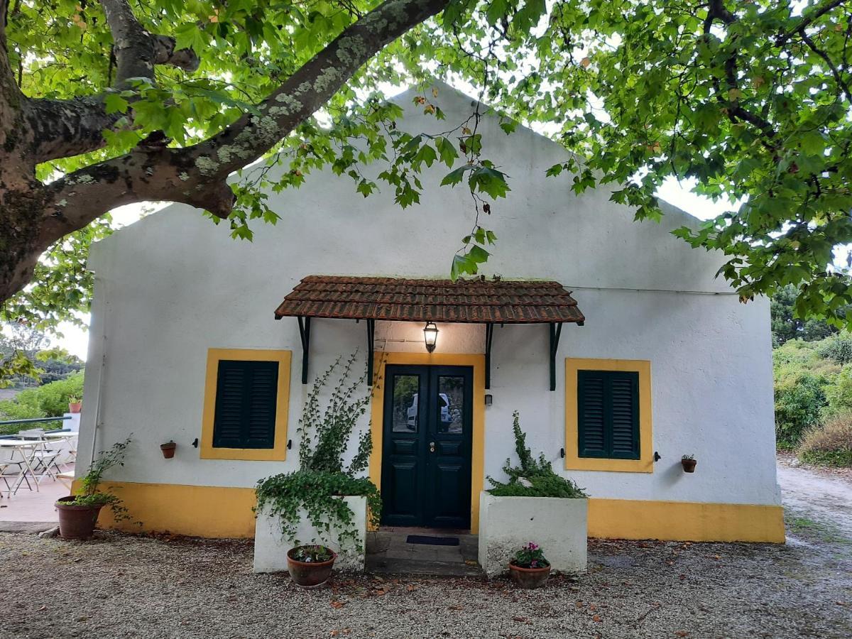 Montejunto Villas - Casa Do Platano Cadaval Eksteriør bilde