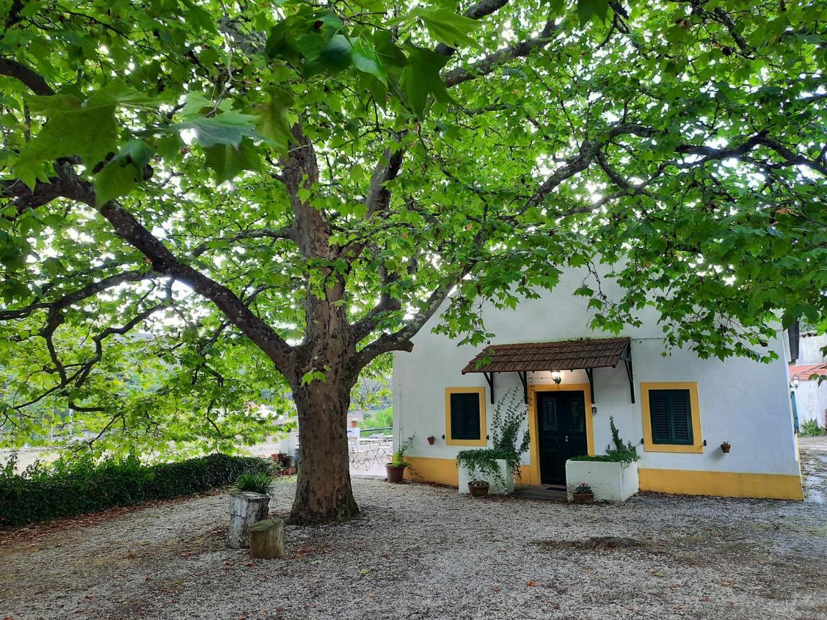 Montejunto Villas - Casa Do Platano Cadaval Eksteriør bilde