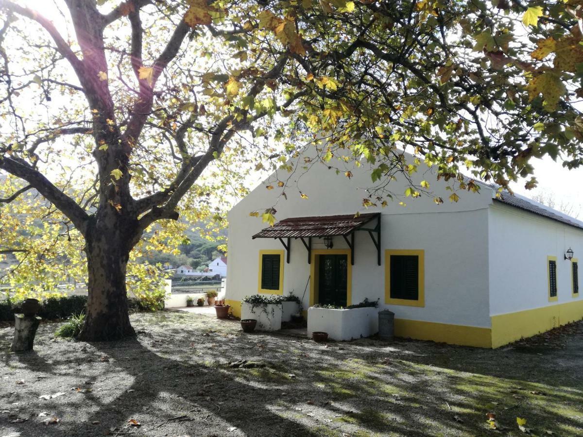 Montejunto Villas - Casa Do Platano Cadaval Eksteriør bilde