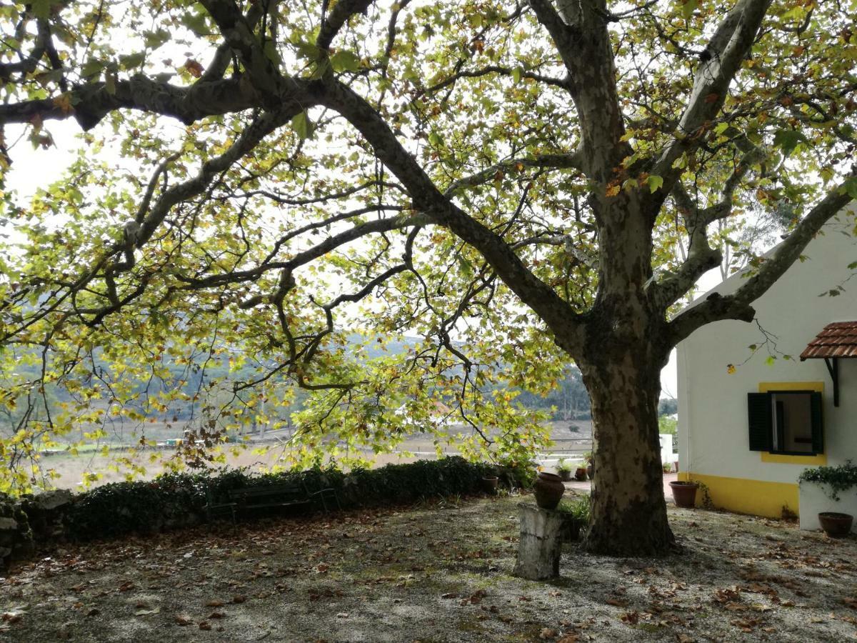 Montejunto Villas - Casa Do Platano Cadaval Eksteriør bilde