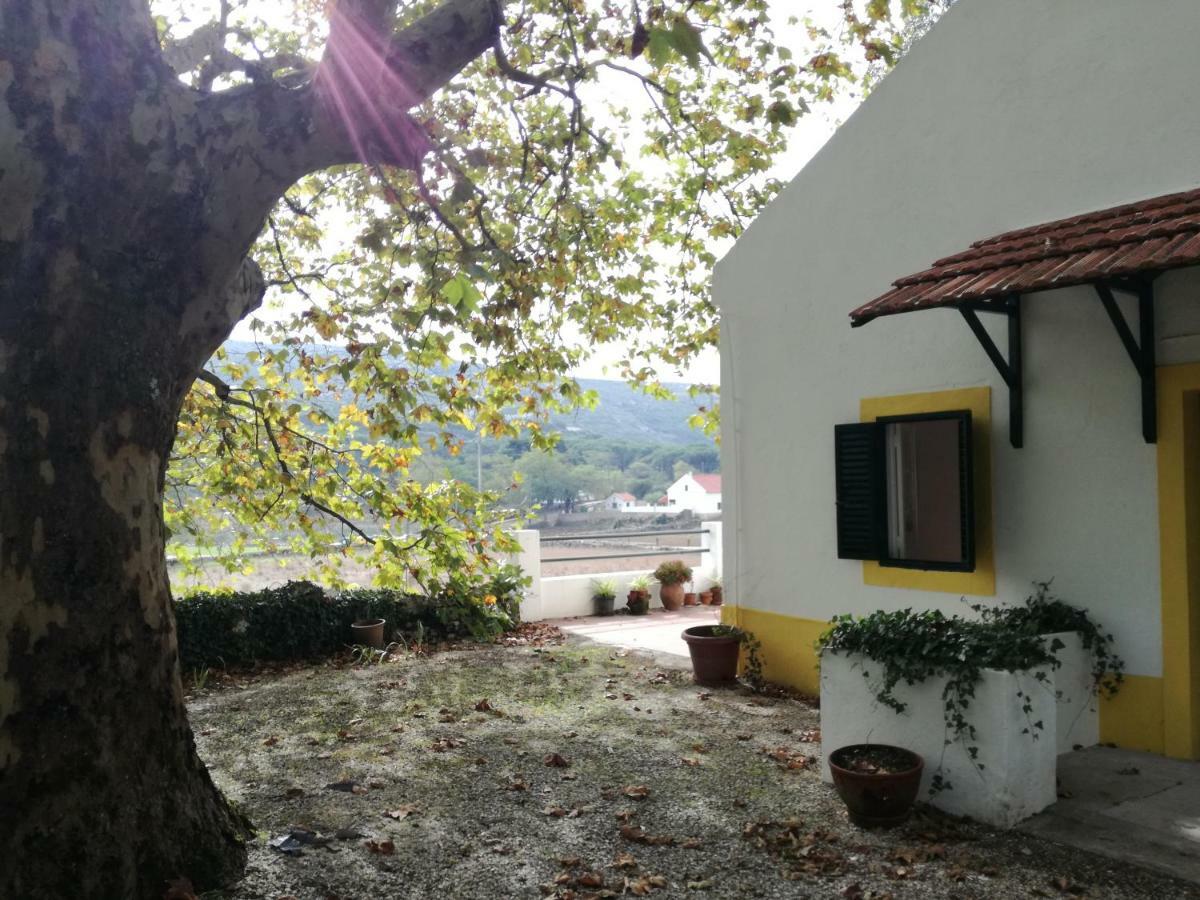 Montejunto Villas - Casa Do Platano Cadaval Eksteriør bilde